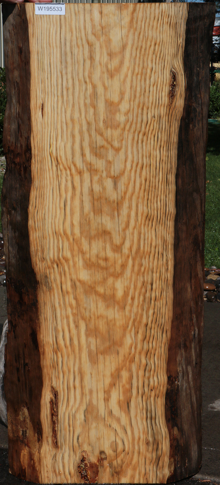 Rustic Blue Sugar Pine Slab