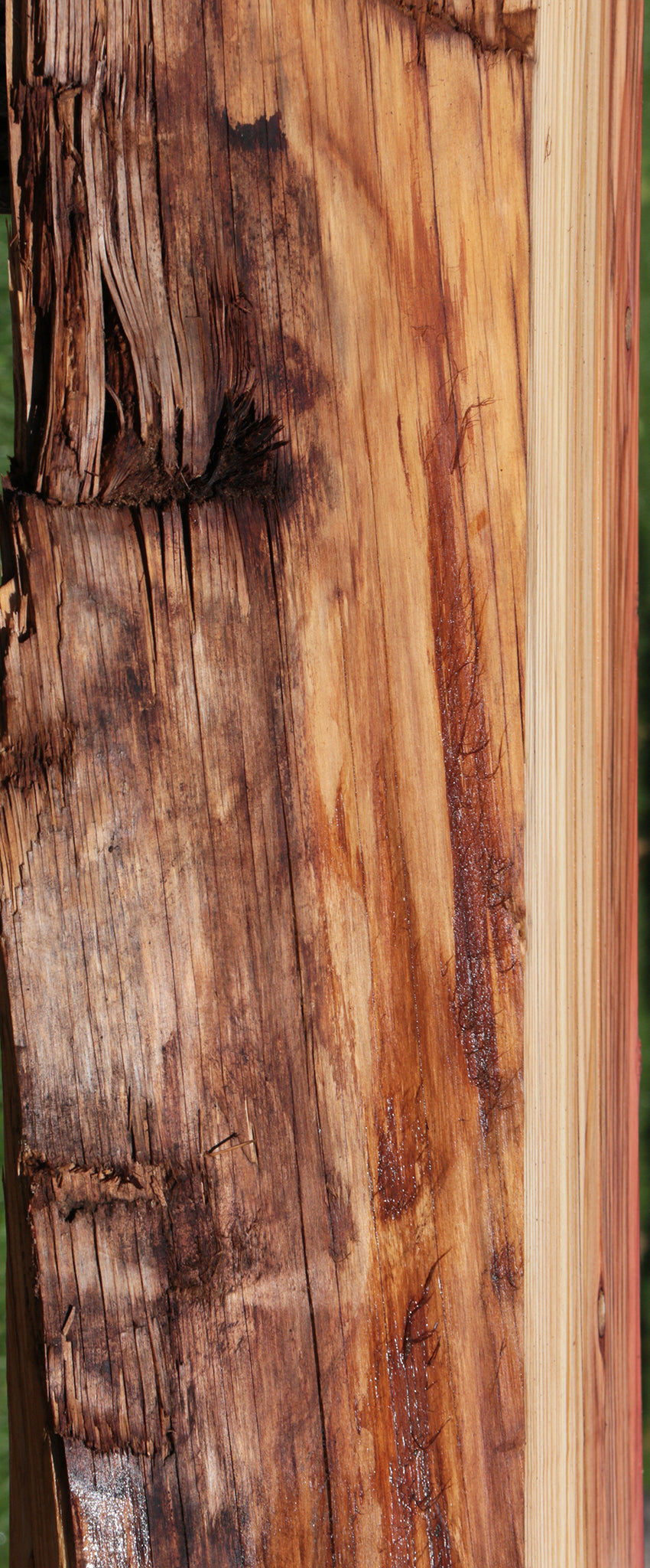 Rustic Redwood Live Edge Mantel