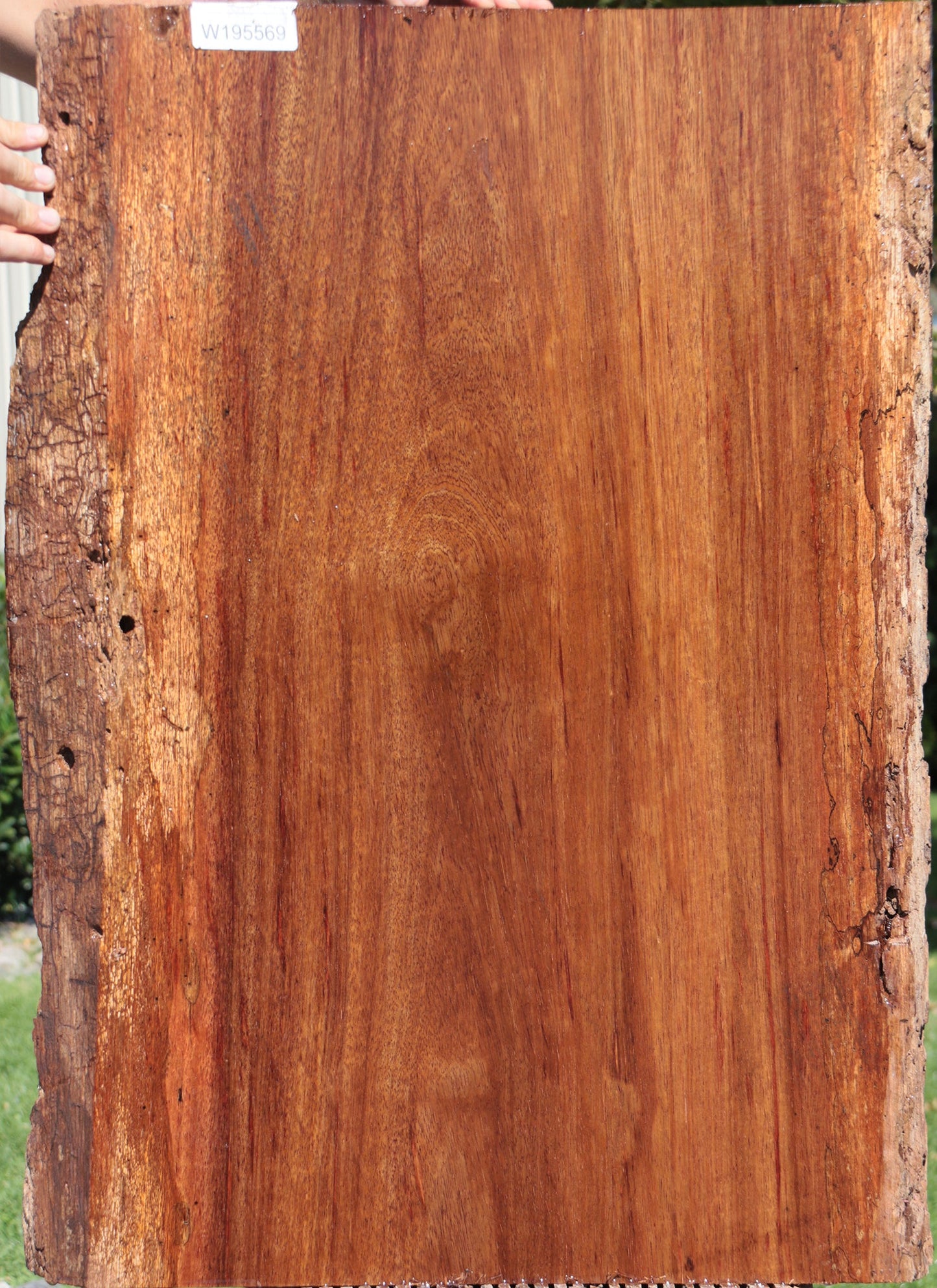Rustic Angelique Live Edge Slab