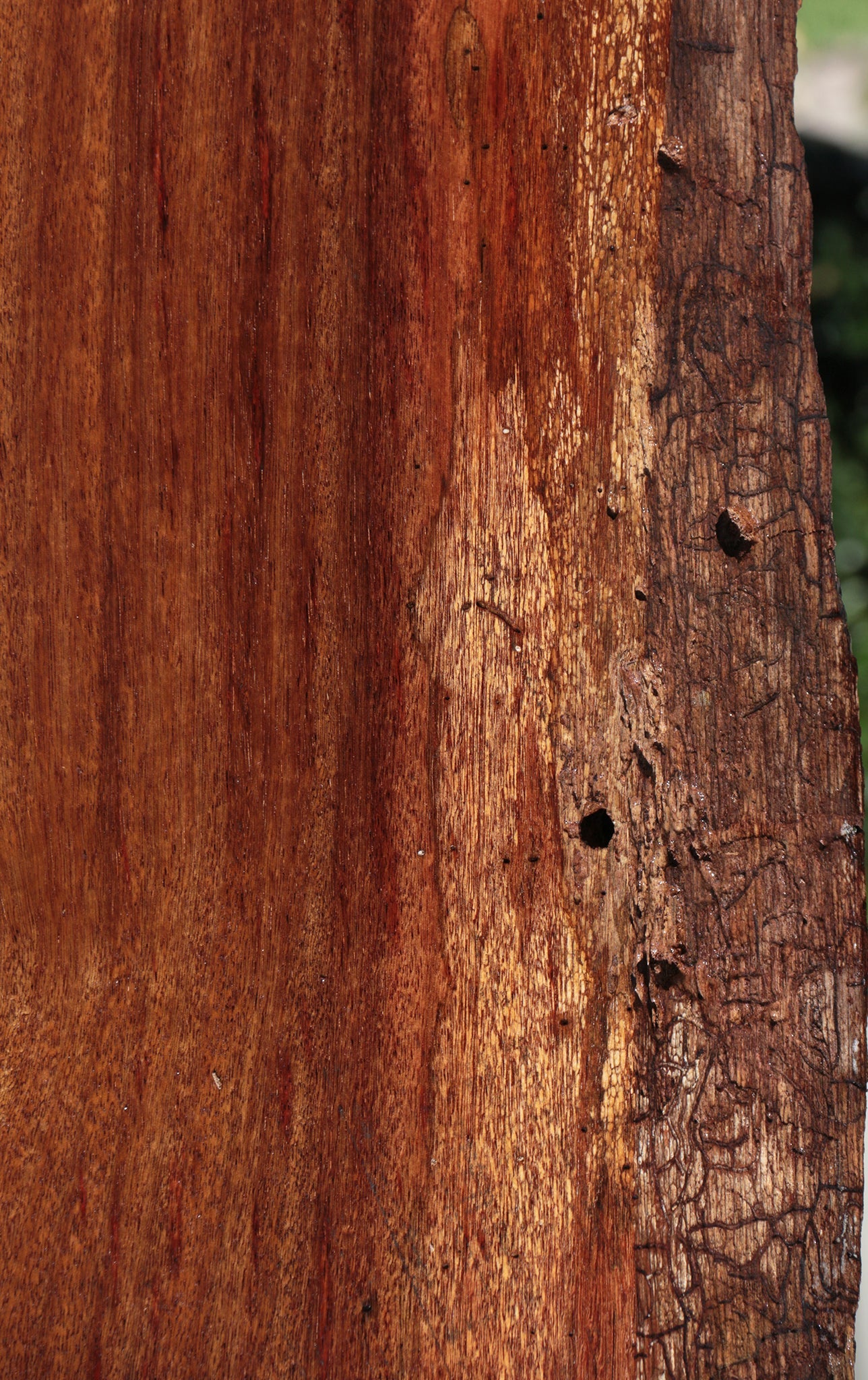 Rustic Angelique Live Edge Slab