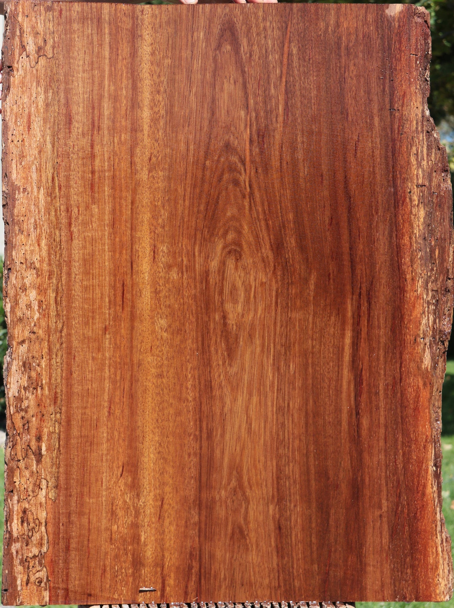 Rustic Angelique Live Edge Slab