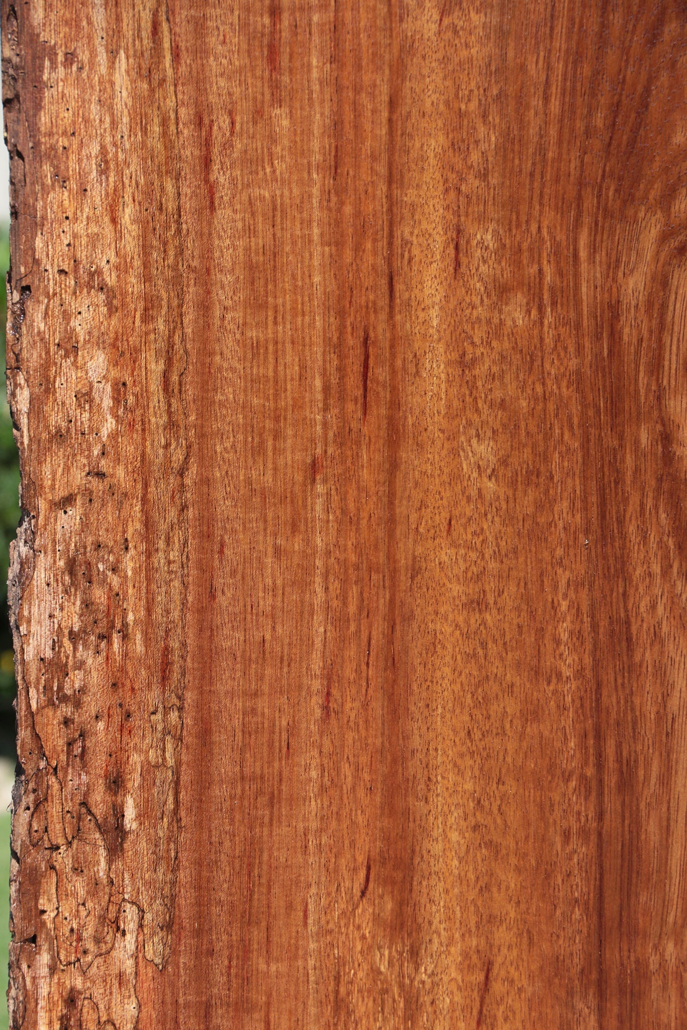 Rustic Angelique Live Edge Slab