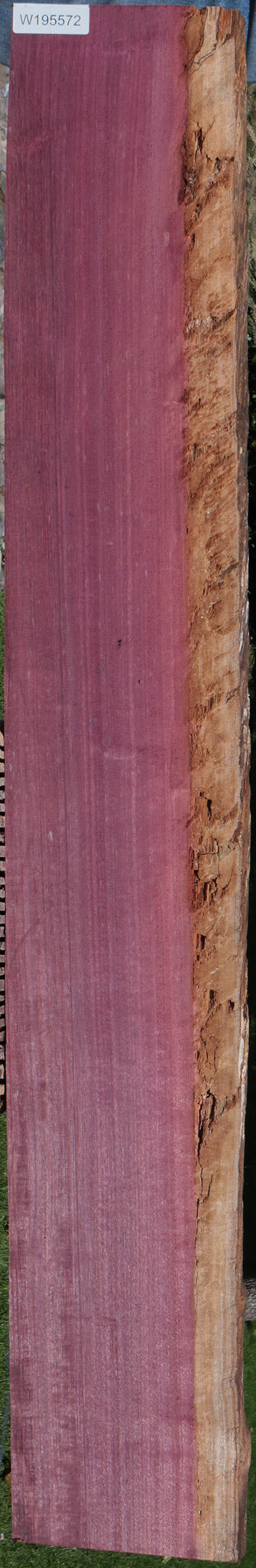 Purpleheart Live Edge Lumber