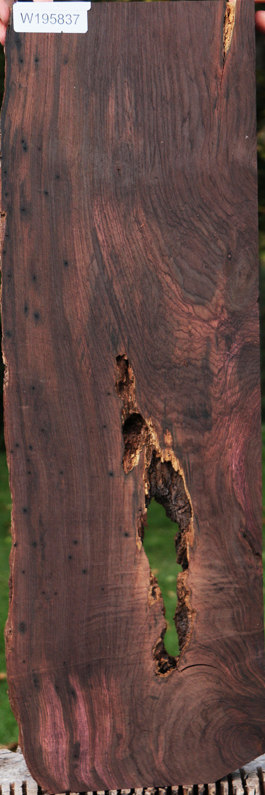 Rustic Brazilian Rosewood Live Edge Lumber