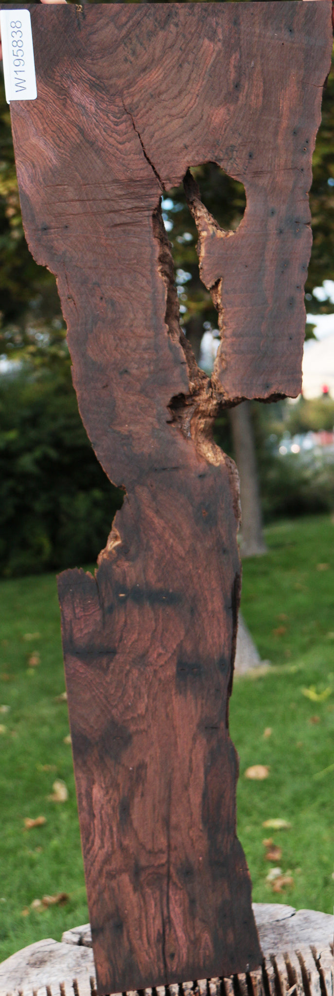 Rustic Brazilian Rosewood Live Edge Lumber