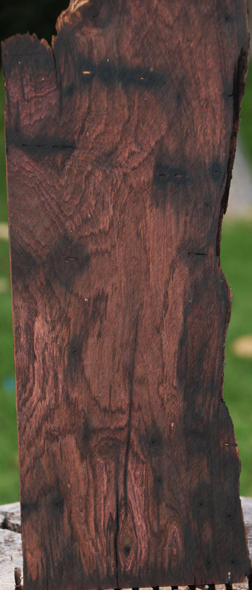 Rustic Brazilian Rosewood Live Edge Lumber