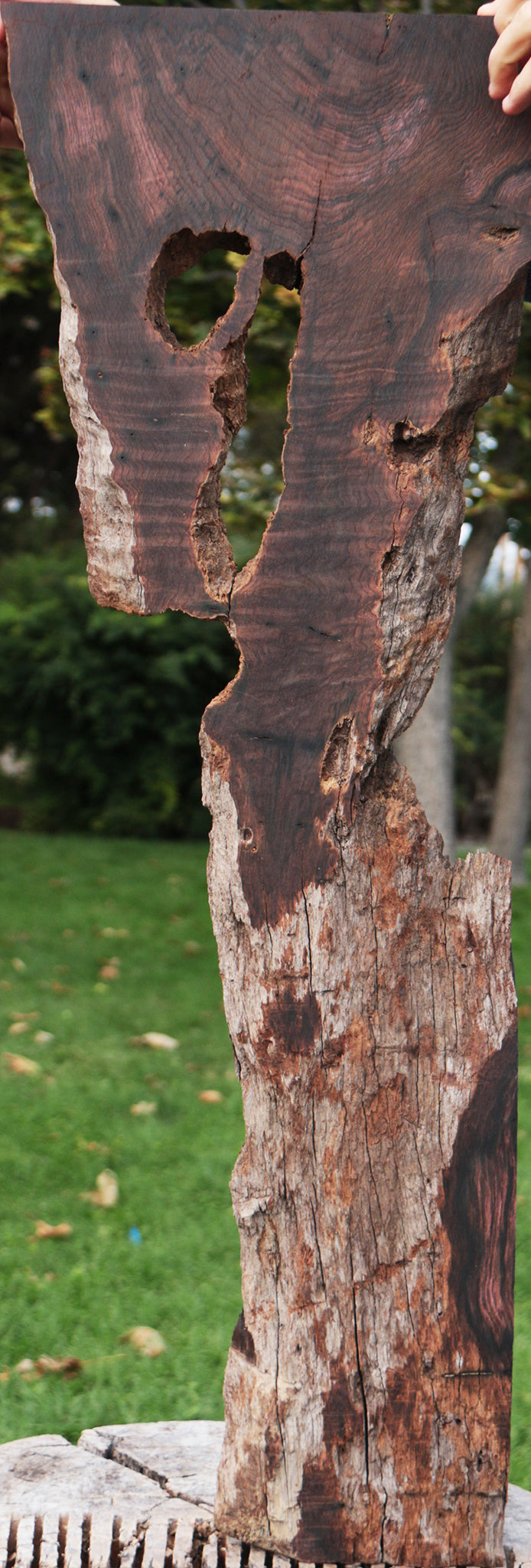 Rustic Brazilian Rosewood Live Edge Lumber