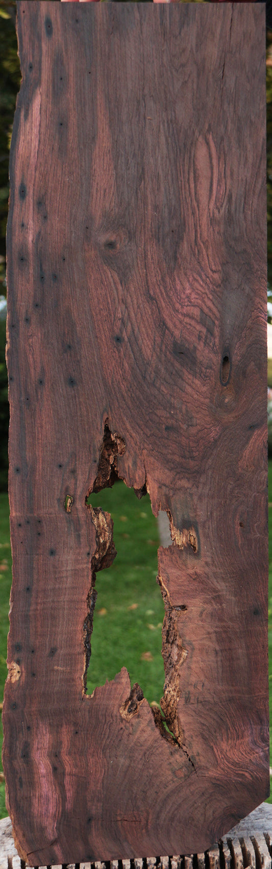 Rustic Brazilian Rosewood Live Edge Lumber