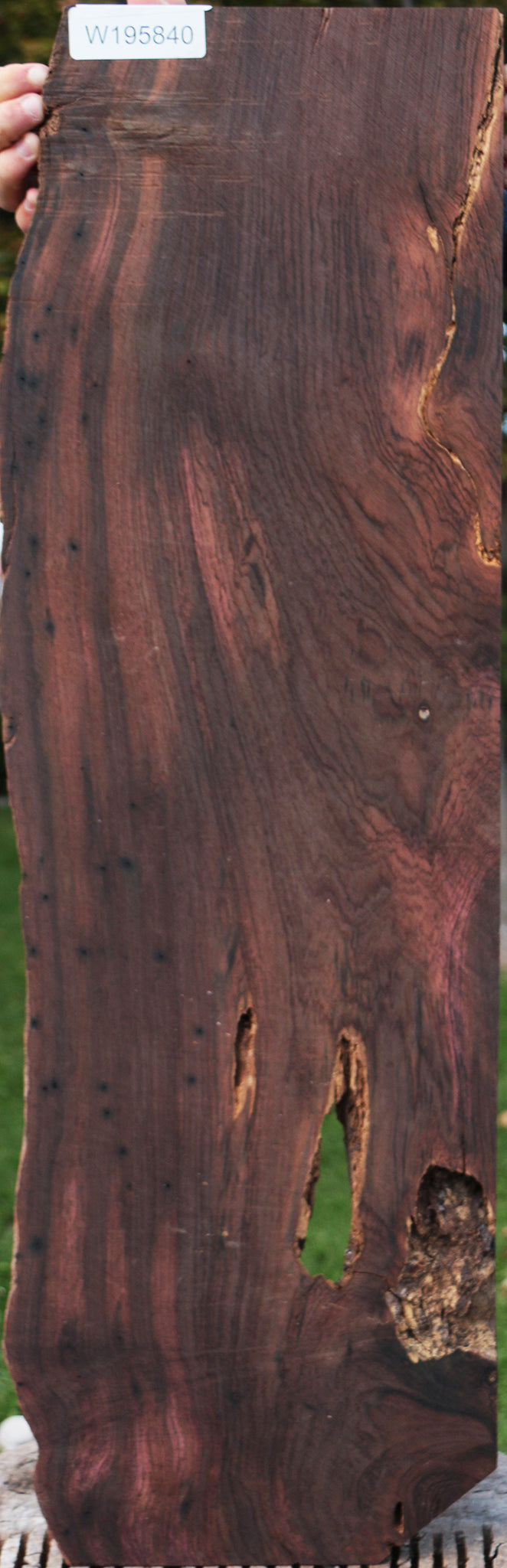 Rustic Brazilian Rosewood Live Edge Lumber
