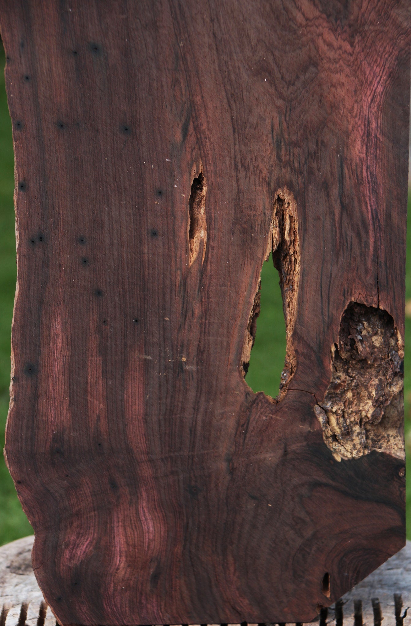 Rustic Brazilian Rosewood Live Edge Lumber