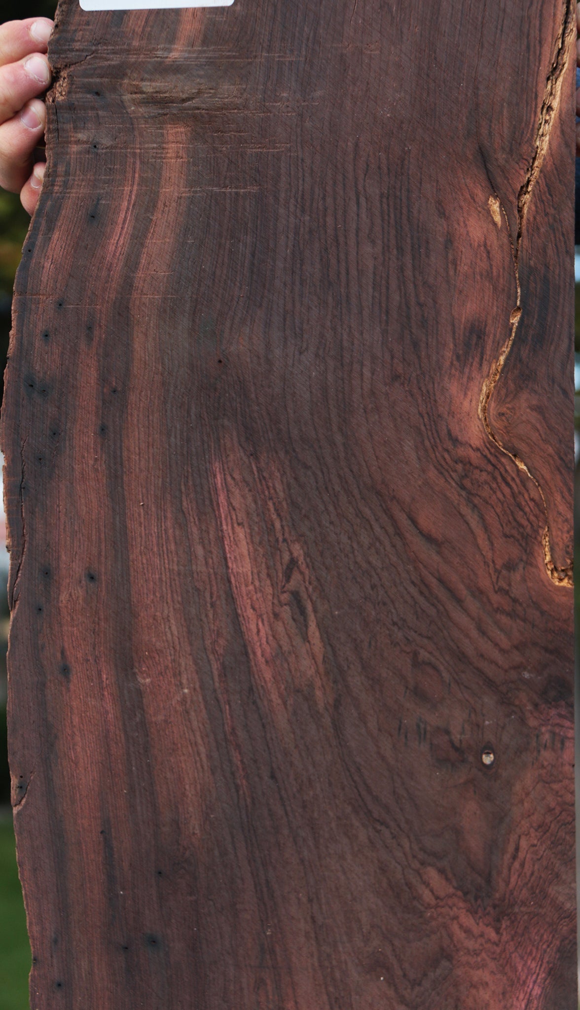 Rustic Brazilian Rosewood Live Edge Lumber