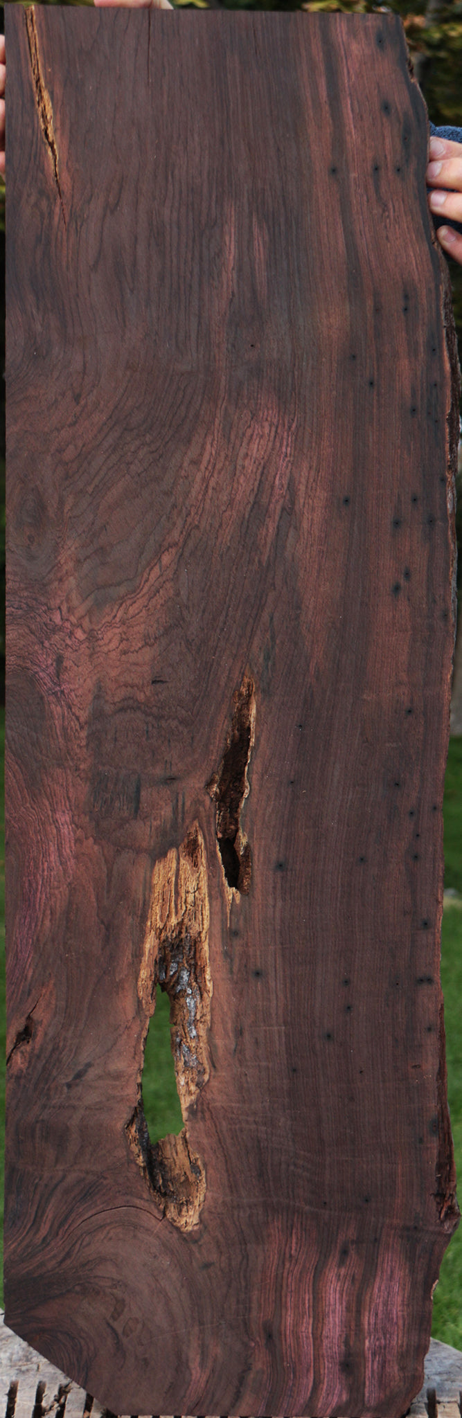 Rustic Brazilian Rosewood Live Edge Lumber