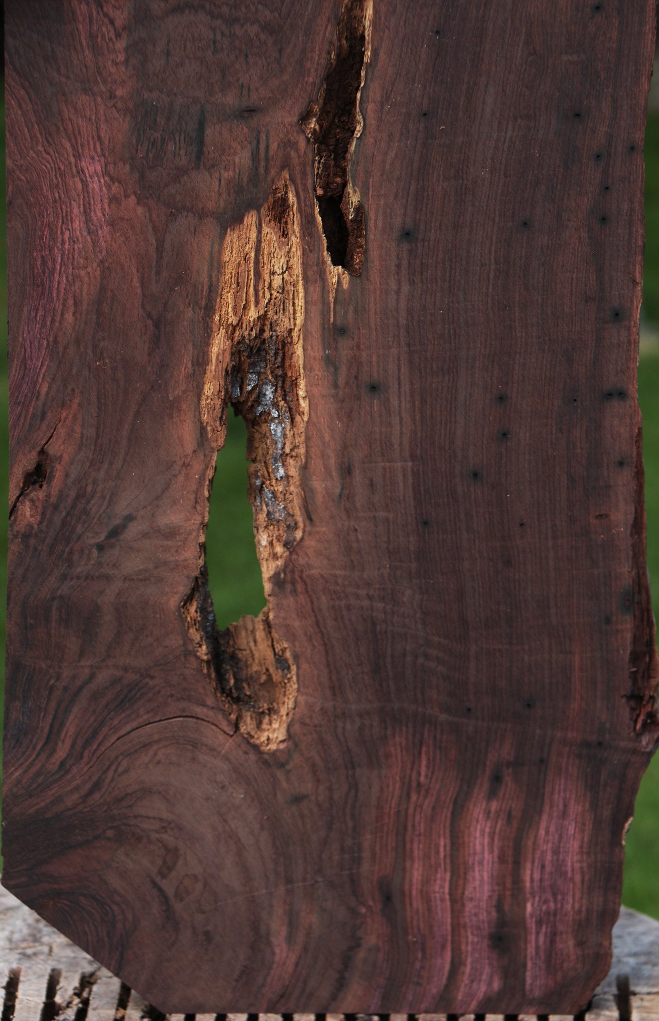 Rustic Brazilian Rosewood Live Edge Lumber