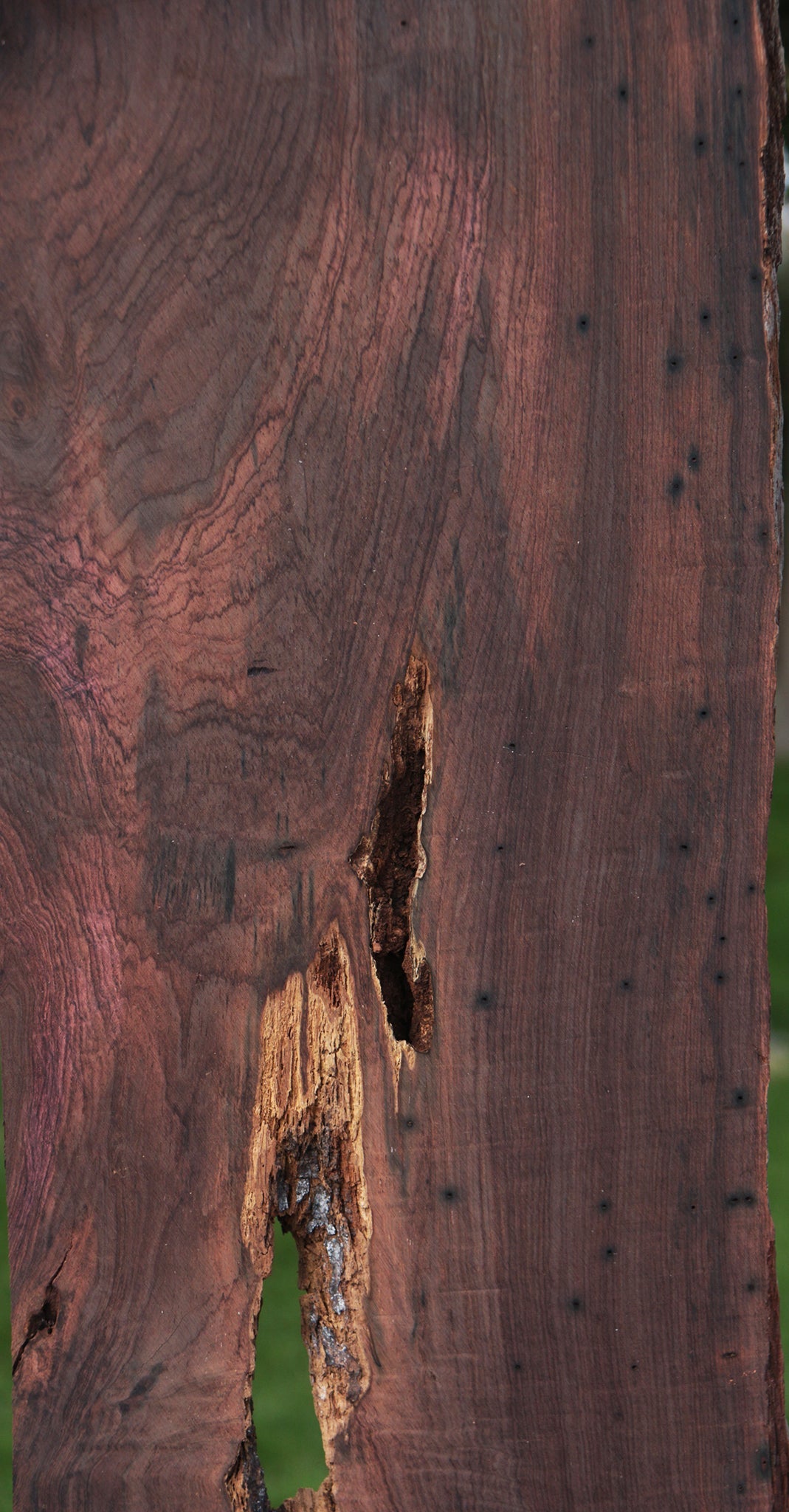 Rustic Brazilian Rosewood Live Edge Lumber