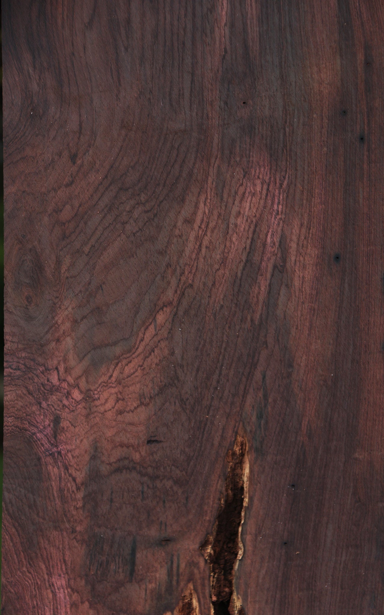 Rustic Brazilian Rosewood Live Edge Lumber