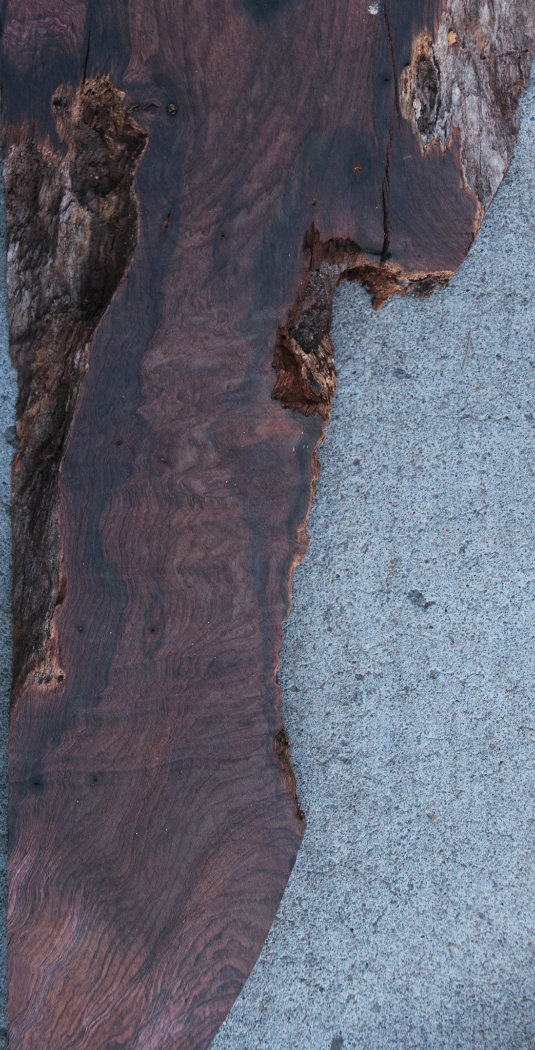 Rustic Brazilian Rosewood Live Edge Lumber