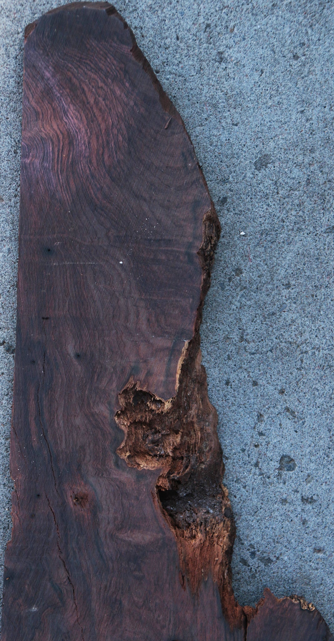 Rustic Brazilian Rosewood Live Edge Lumber