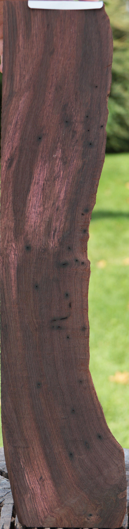 Brazilian Rosewood Micro Lumber