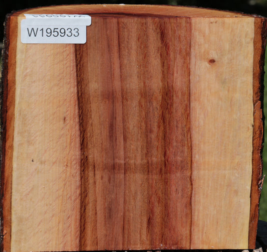 Beefwood Live Edge Bowl Blank