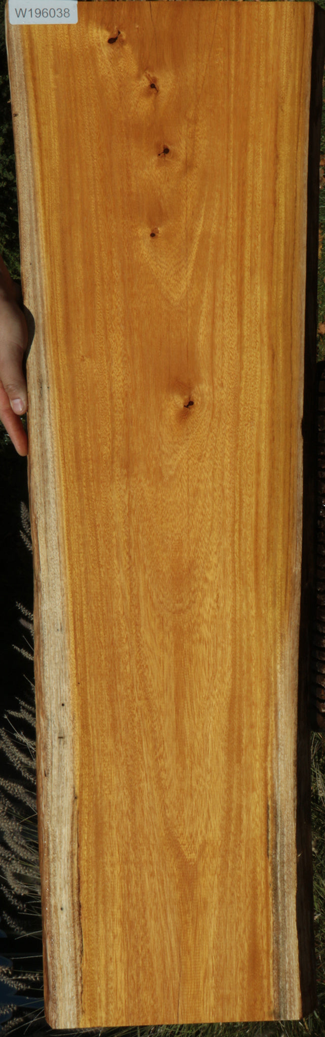 Argentine Osage Orange Live Edge Lumber