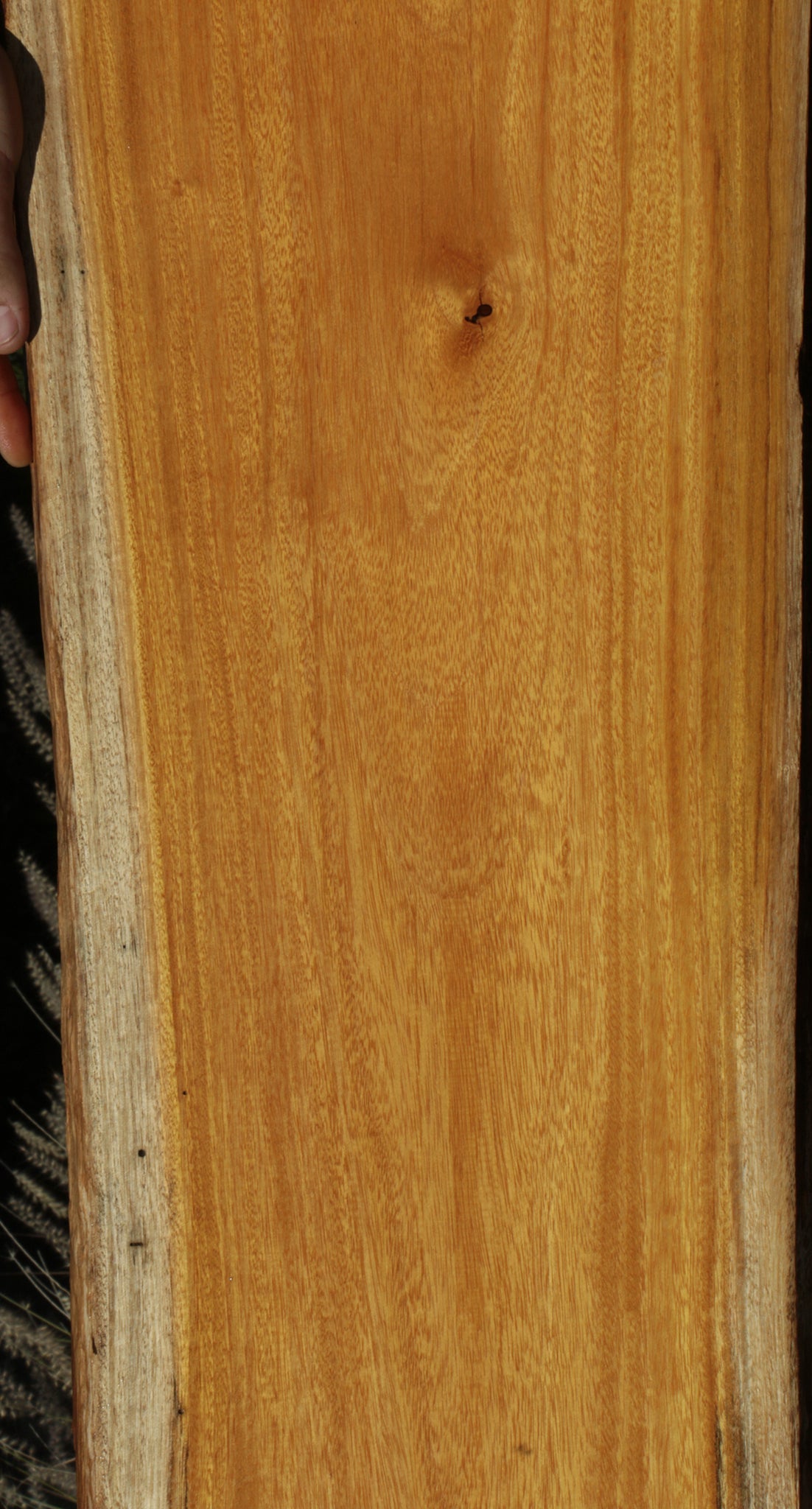 Argentine Osage Orange Live Edge Lumber