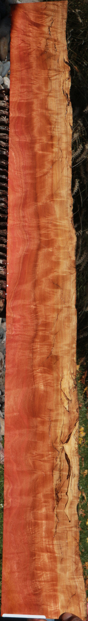 Pink Ivory Live Edge Micro Lumber