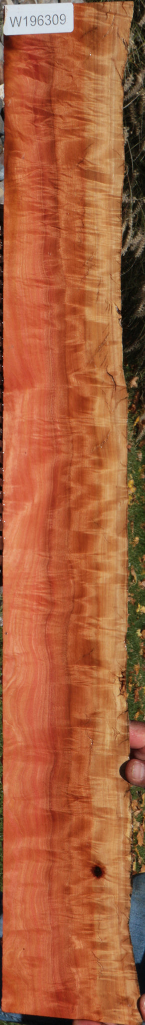 Exhibition Rustic Pink Ivory Live Edge Micro Lumber