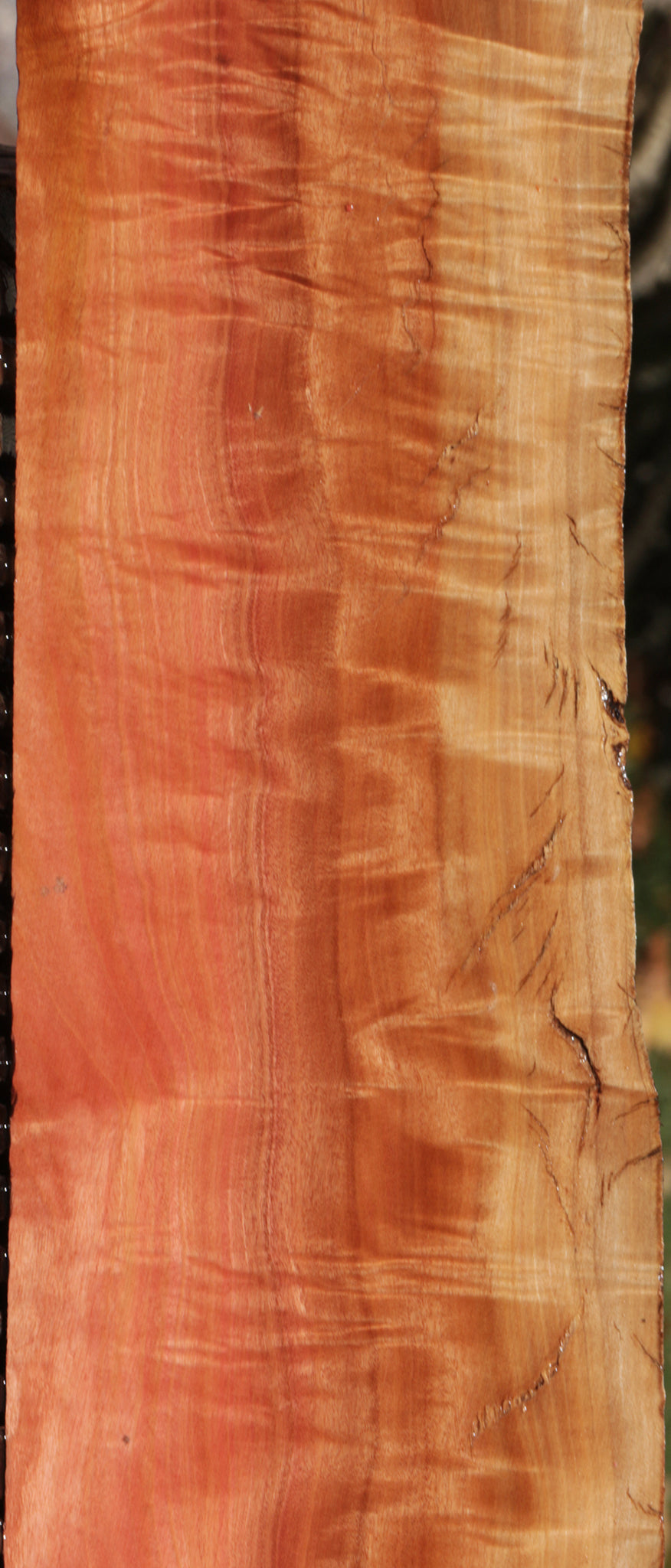 Exhibition Rustic Pink Ivory Live Edge Micro Lumber