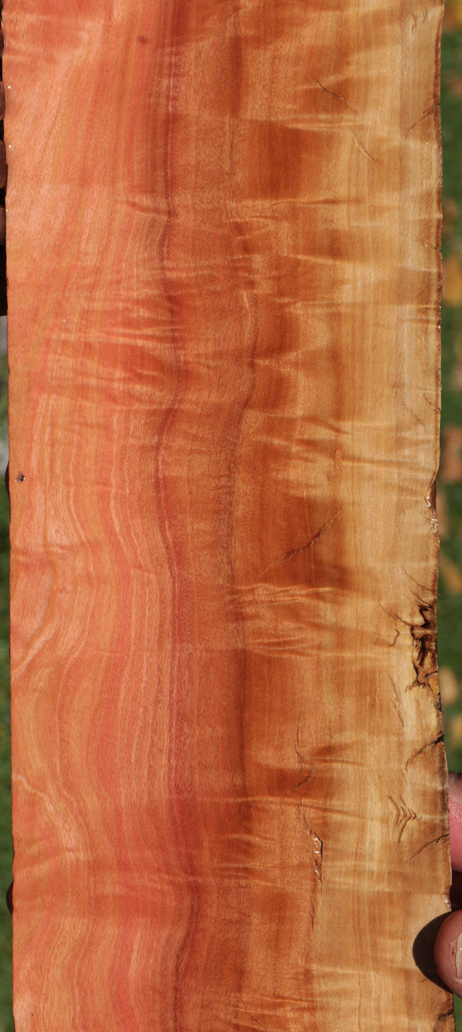 Exhibition Rustic Pink Ivory Live Edge Micro Lumber