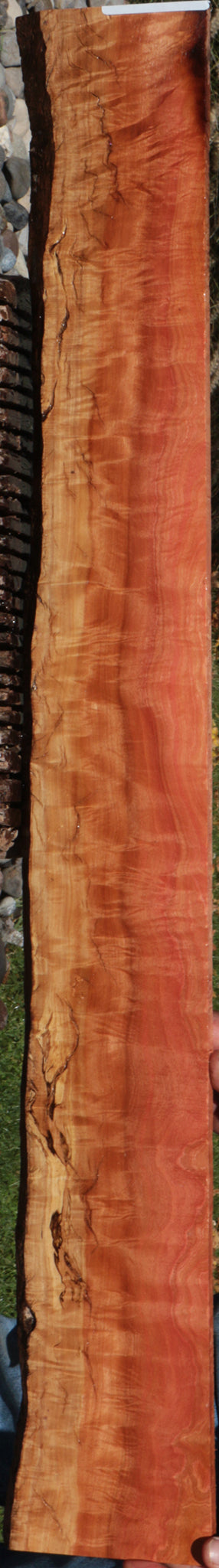 Exhibition Rustic Pink Ivory Live Edge Micro Lumber