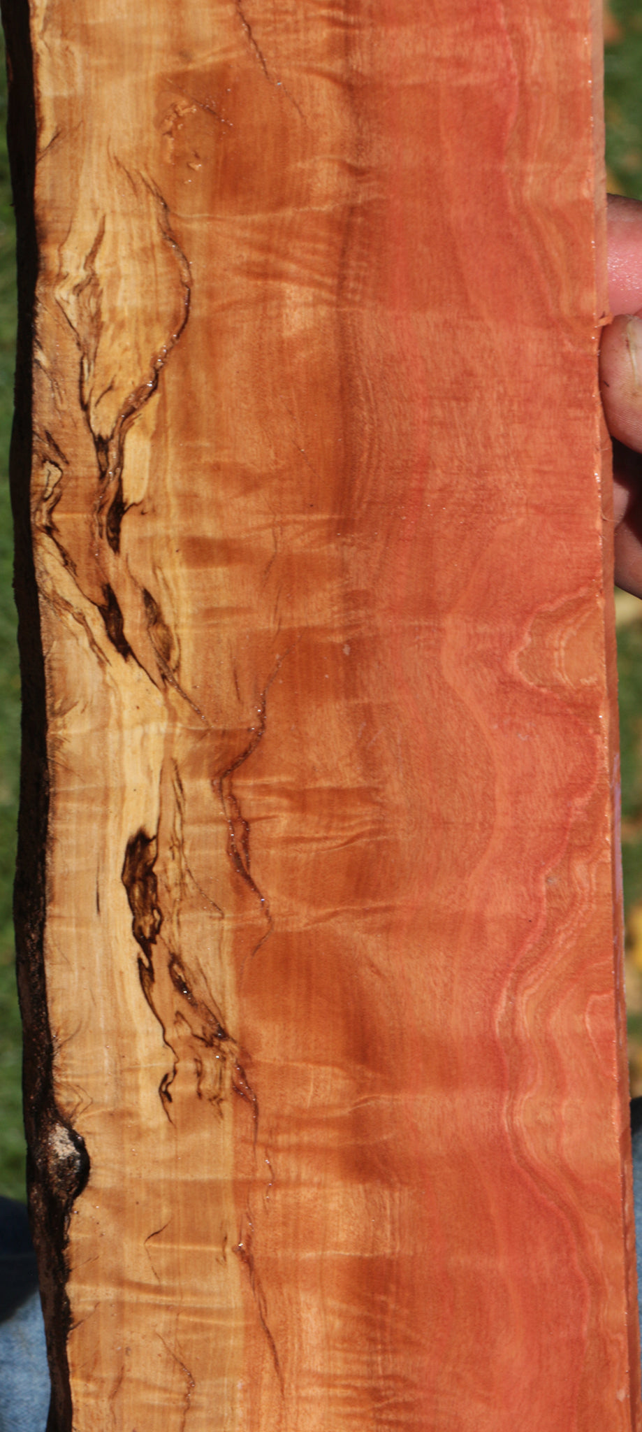 Exhibition Rustic Pink Ivory Live Edge Micro Lumber