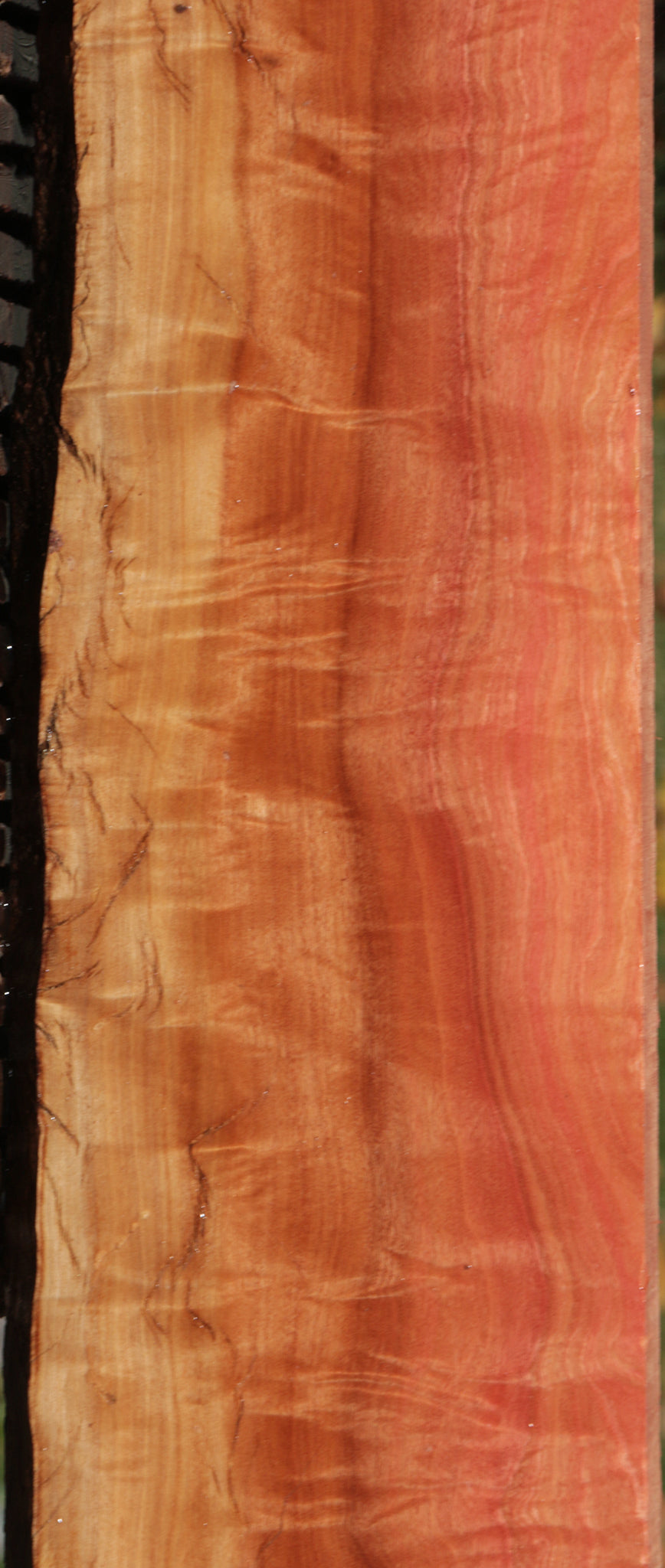 Exhibition Rustic Pink Ivory Live Edge Micro Lumber