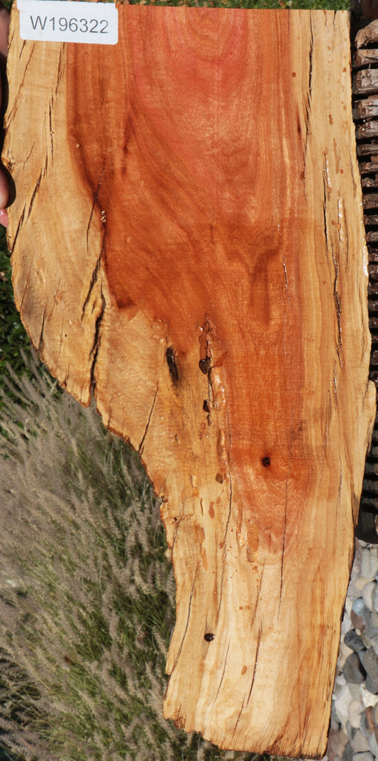 Rustic Pink Ivory Live Edge Micro Lumber