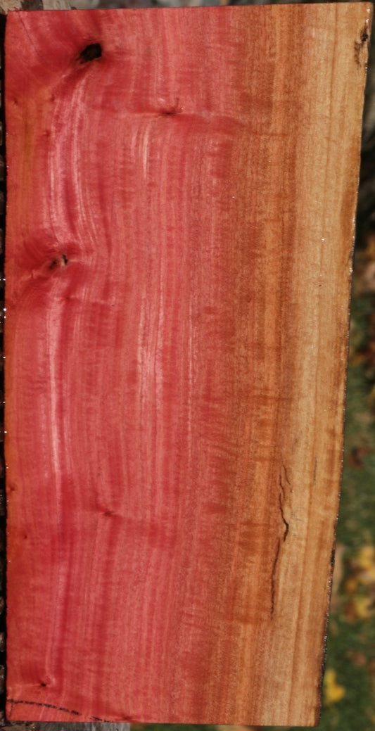 Extra Fancy Figured Pink Ivory Lumber