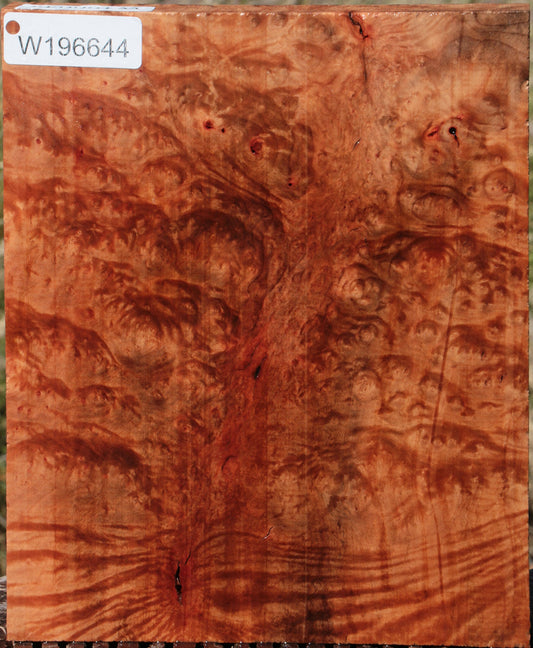 Madrone Burl Lumber