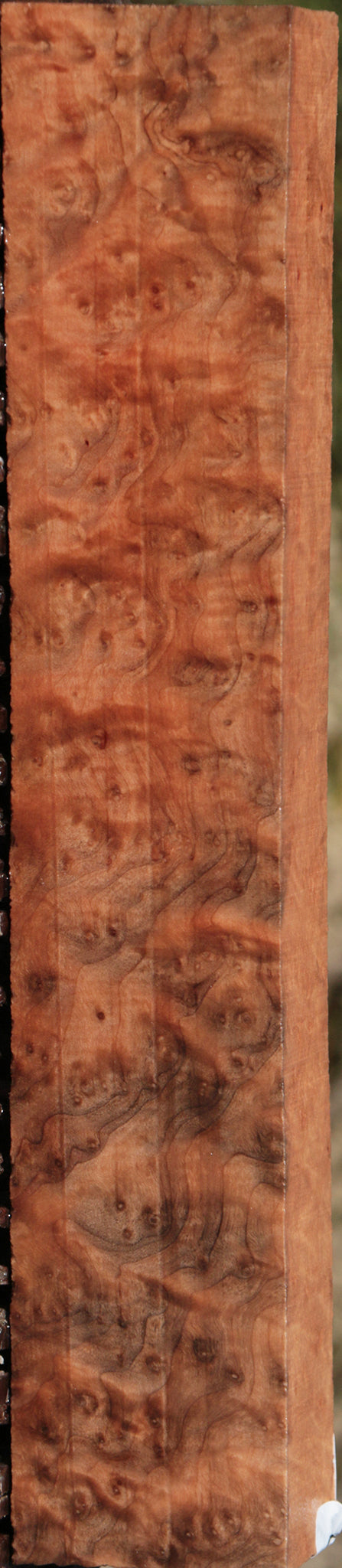 Madrone Burl Turning Square