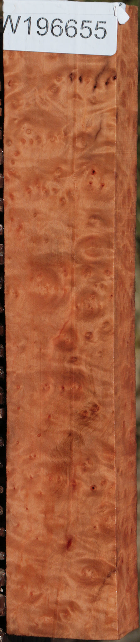Madrone Burl Turning Square