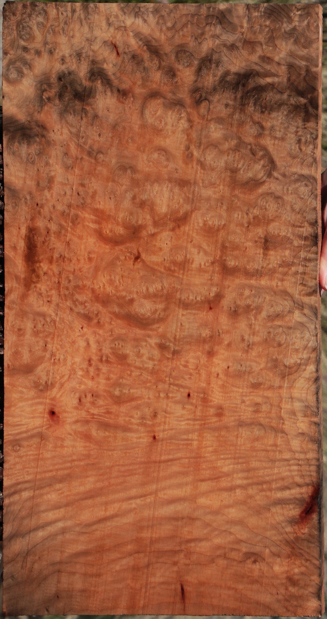 Madrone Burl Lumber