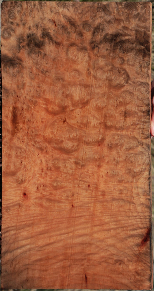 Madrone Burl Lumber