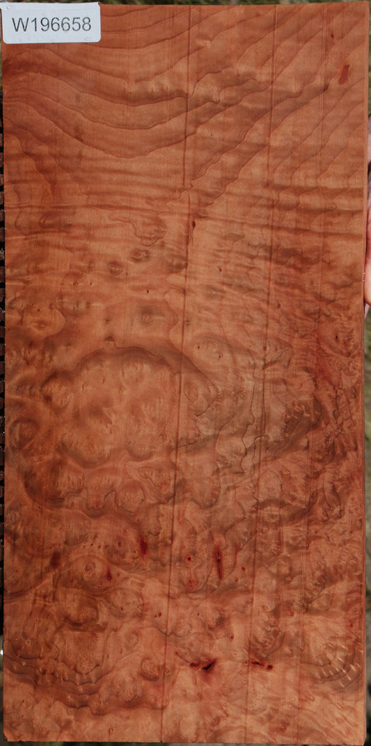 Madrone Burl Lumber