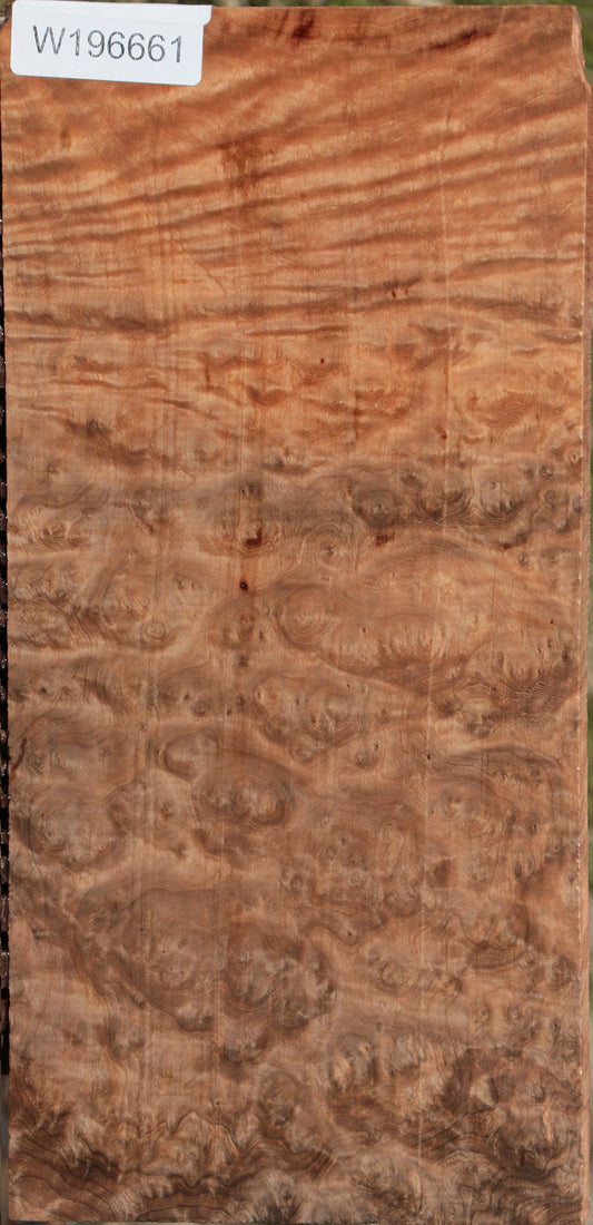 Madrone Burl Lumber