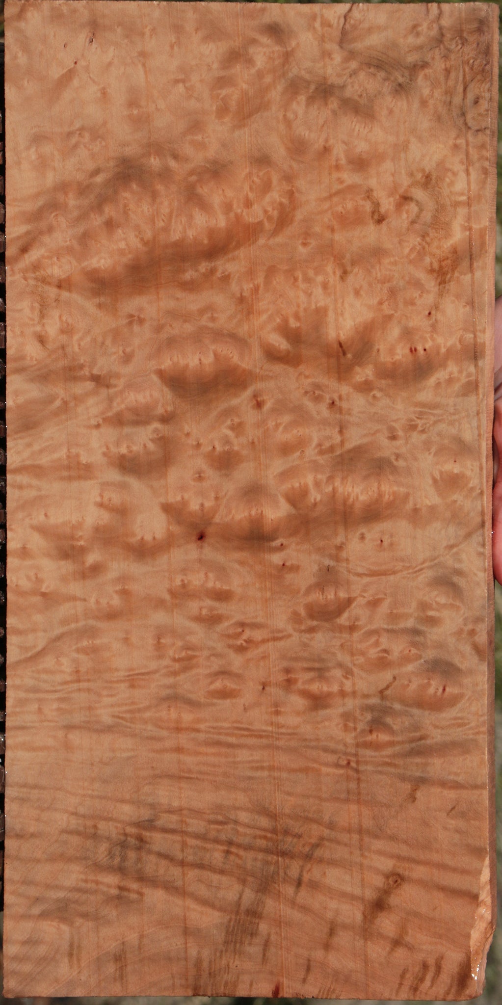 Madrone Burl Lumber