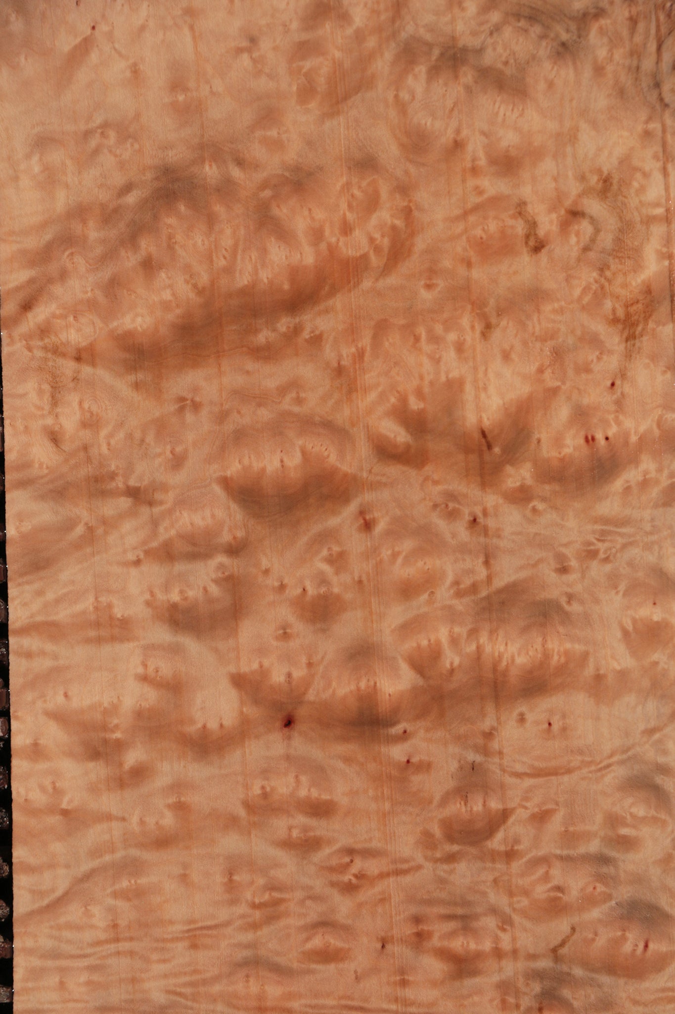 Madrone Burl Lumber