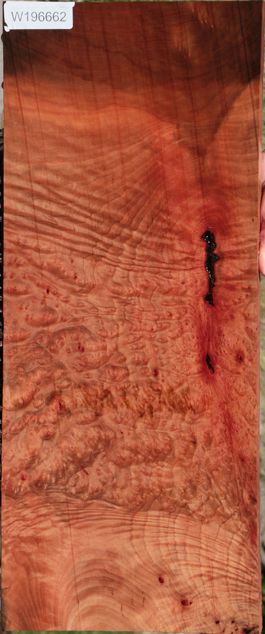 Madrone Burl Lumber