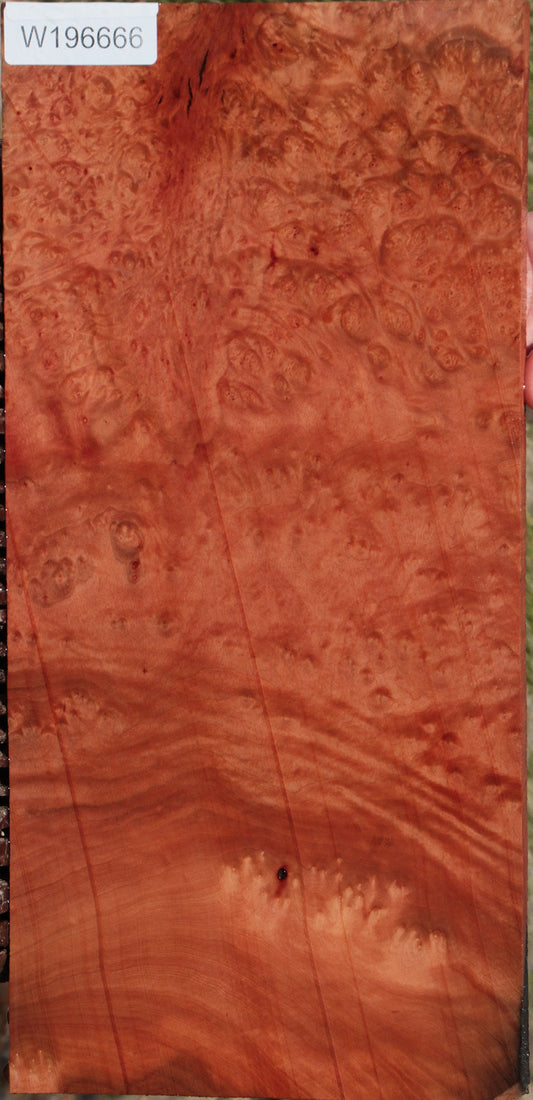 Madrone Burl Lumber
