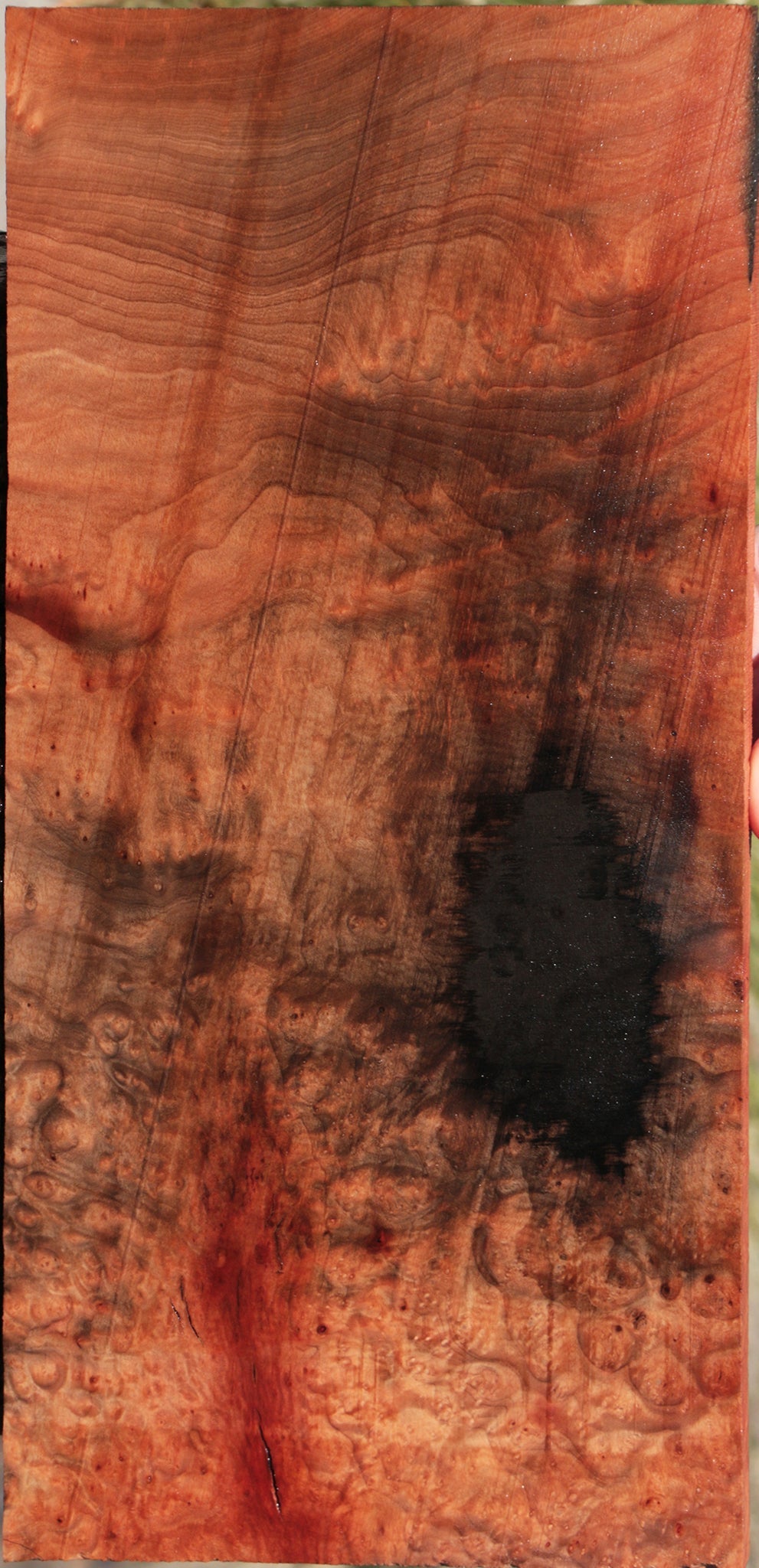 Madrone Burl Lumber