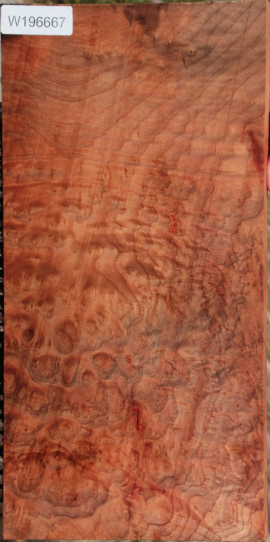 Madrone Burl Lumber