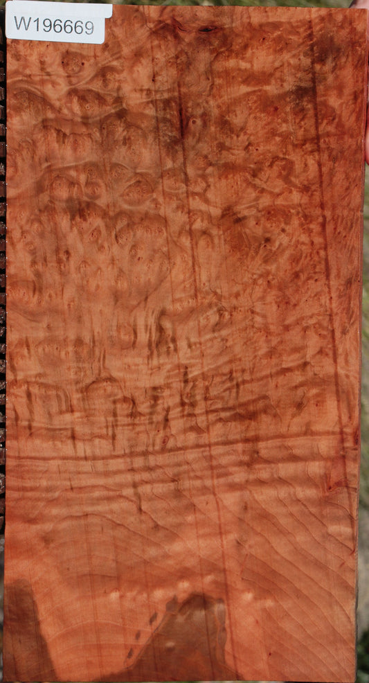 Madrone Burl Lumber