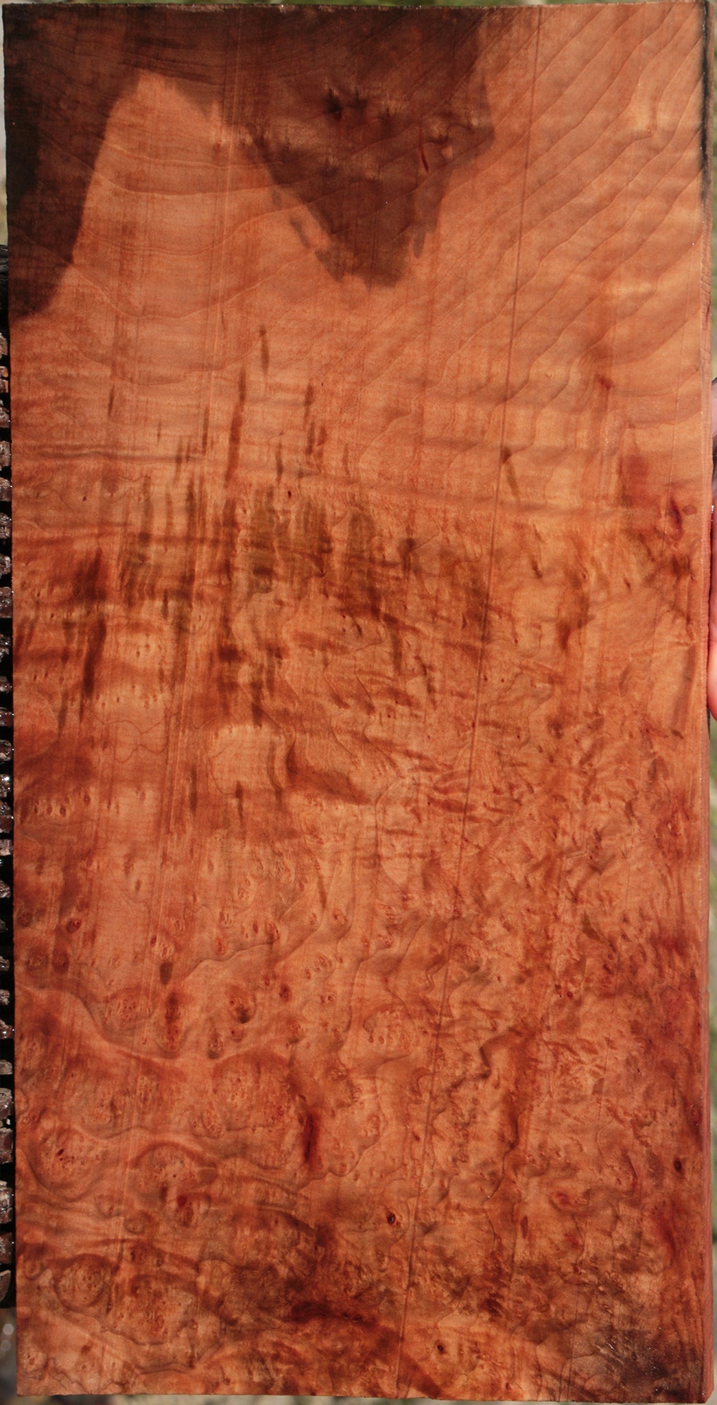 Madrone Burl Lumber