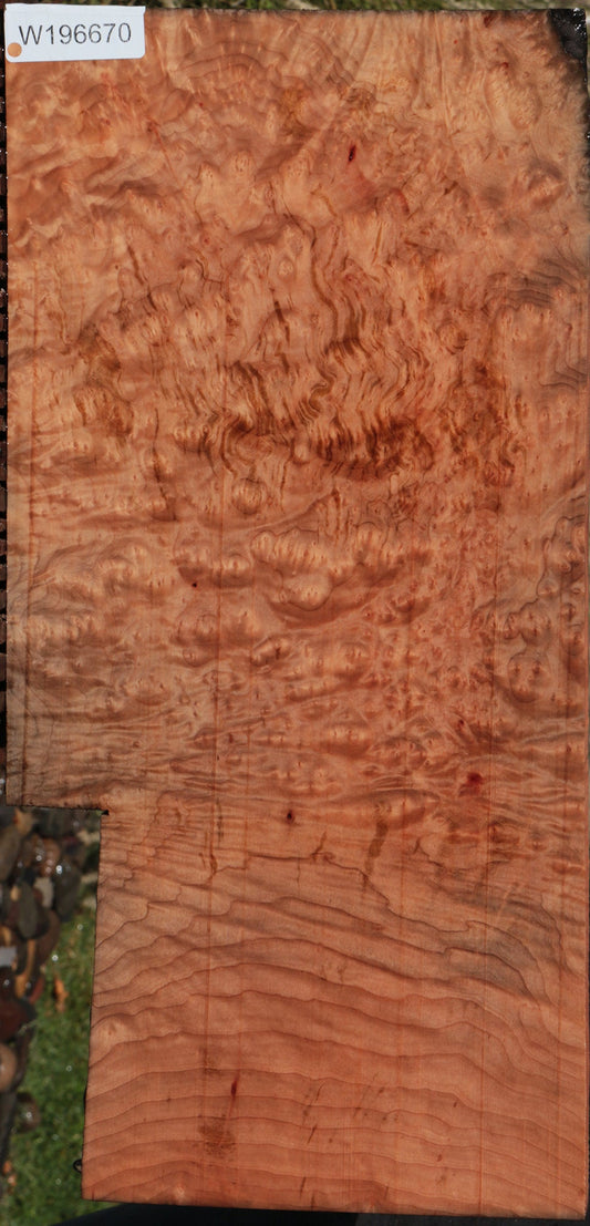 Madrone Burl Lumber